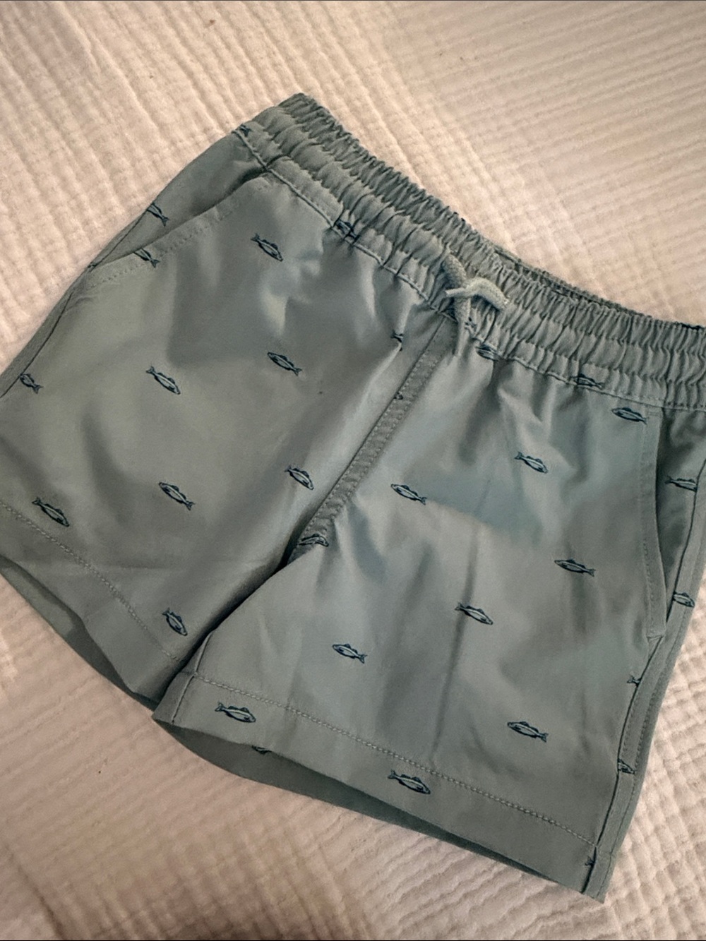 Class Club Sage Green Kids Swim with Navy Fish